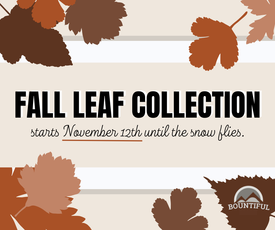 Fall Leaf Collection