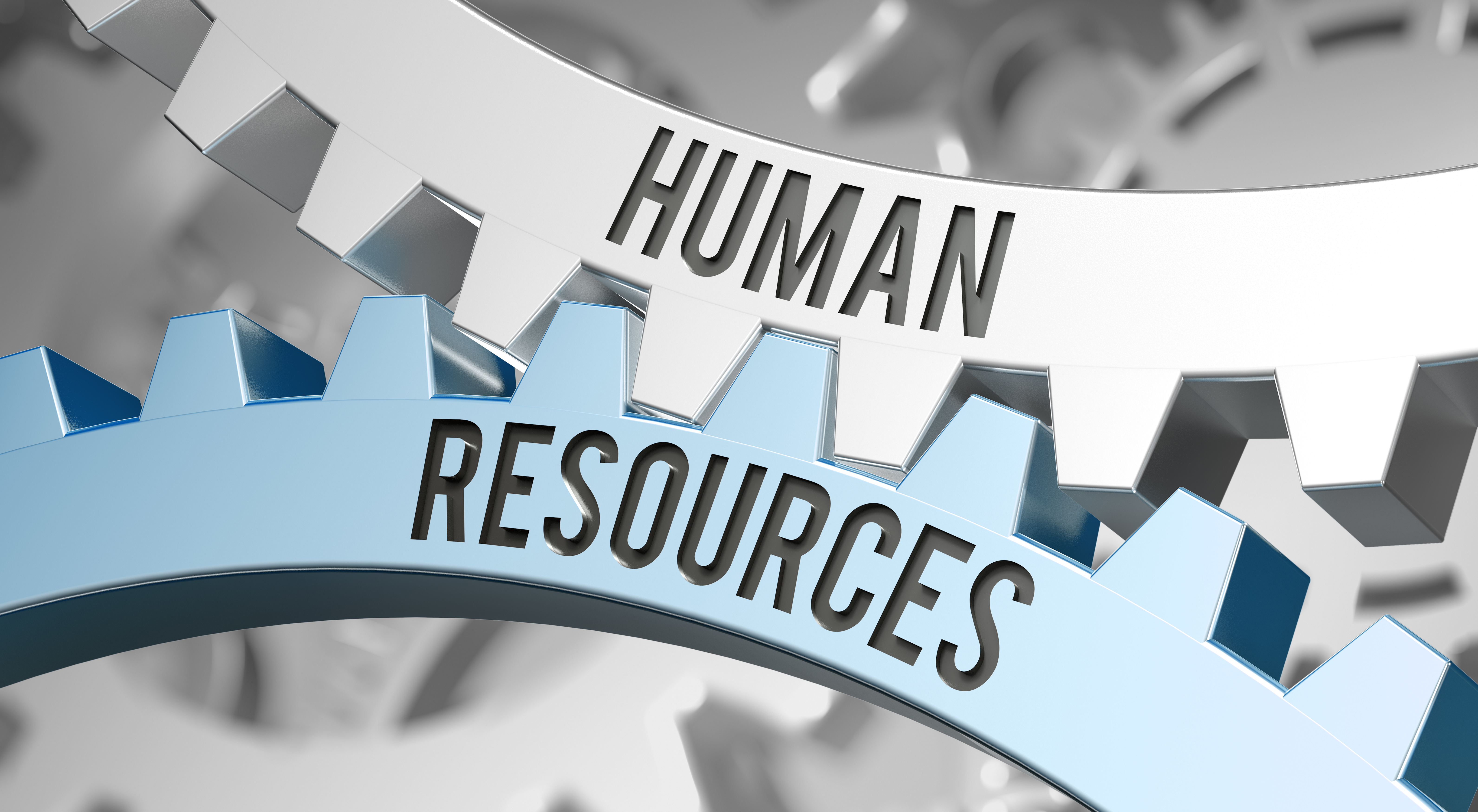 What Is Professional Human Resources Experience